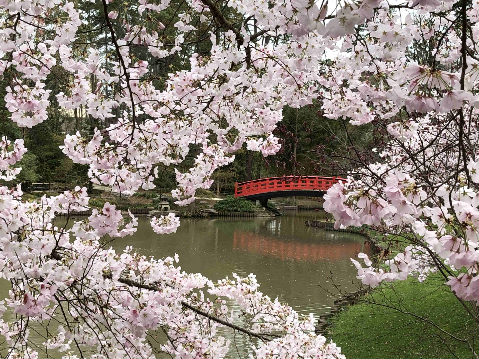 Japanese Bridge, Sarah P. Duke Gardens, Duke University